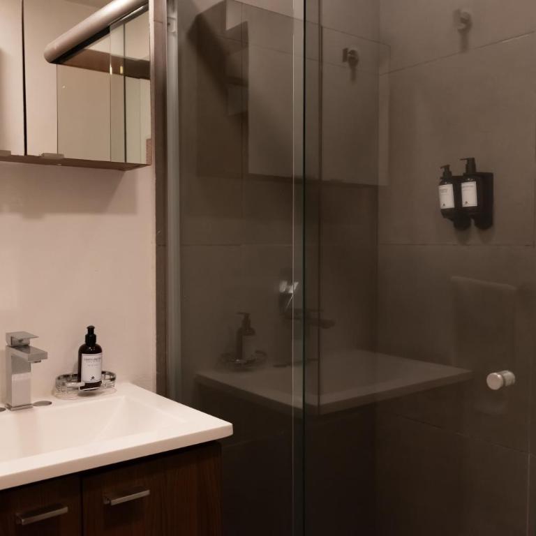 Nuevo y moderno Departamento en zona de Santa Fe - Apartamento - 32