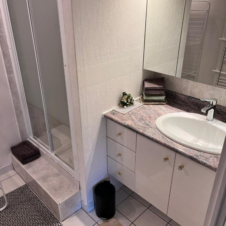 Les Jardins de Wilson - Appartamento con 3 Camere da Letto - 11
