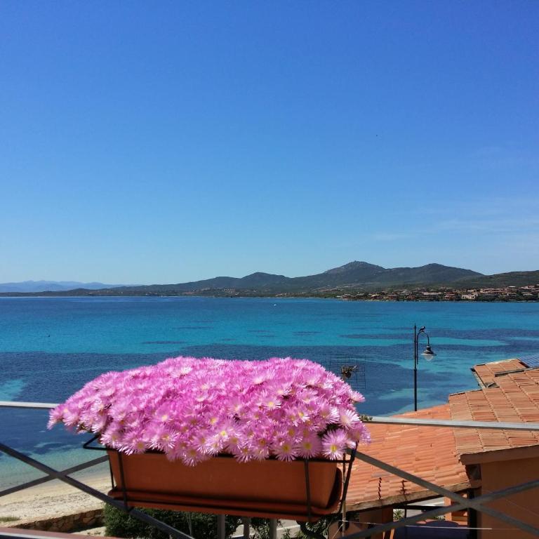Hotel Tabby - Suite con Terrazza - 7