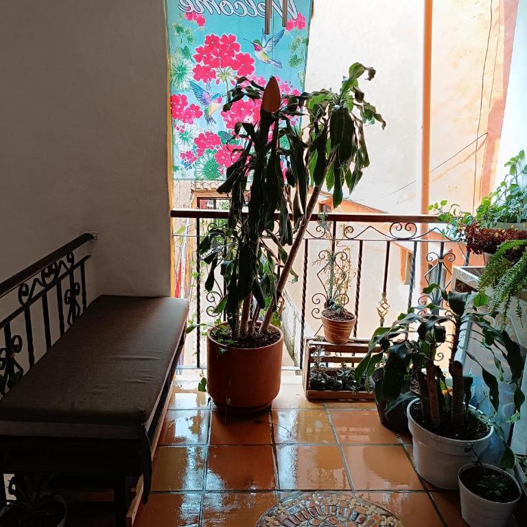 Experiencia Wiphala loft en Jericó con vista panorámica - Apartamento de 1 dormitorio - 12