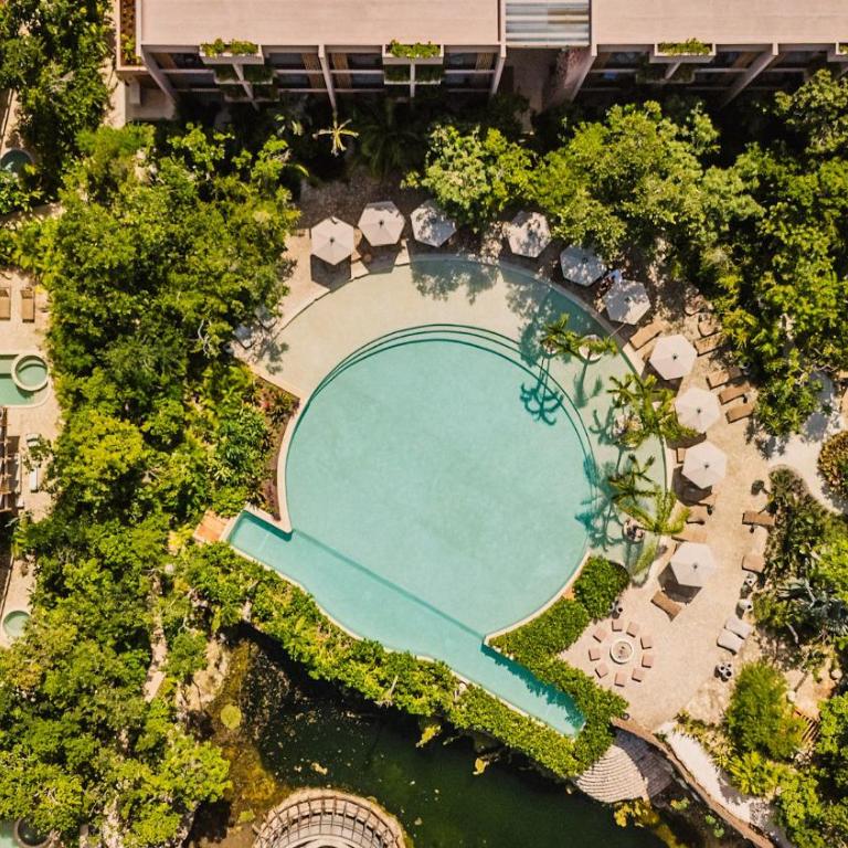 Divine 2BR w Pool Gym Yoga Classes Restaurant - One-Bedroom Apartment - 52