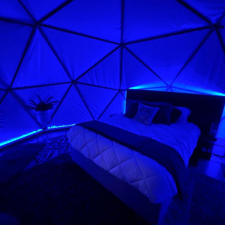 Glamping con jacuzzi en piso 15, único en Gdl, vistas espectactaculares - One-Bedroom Apartment - 12