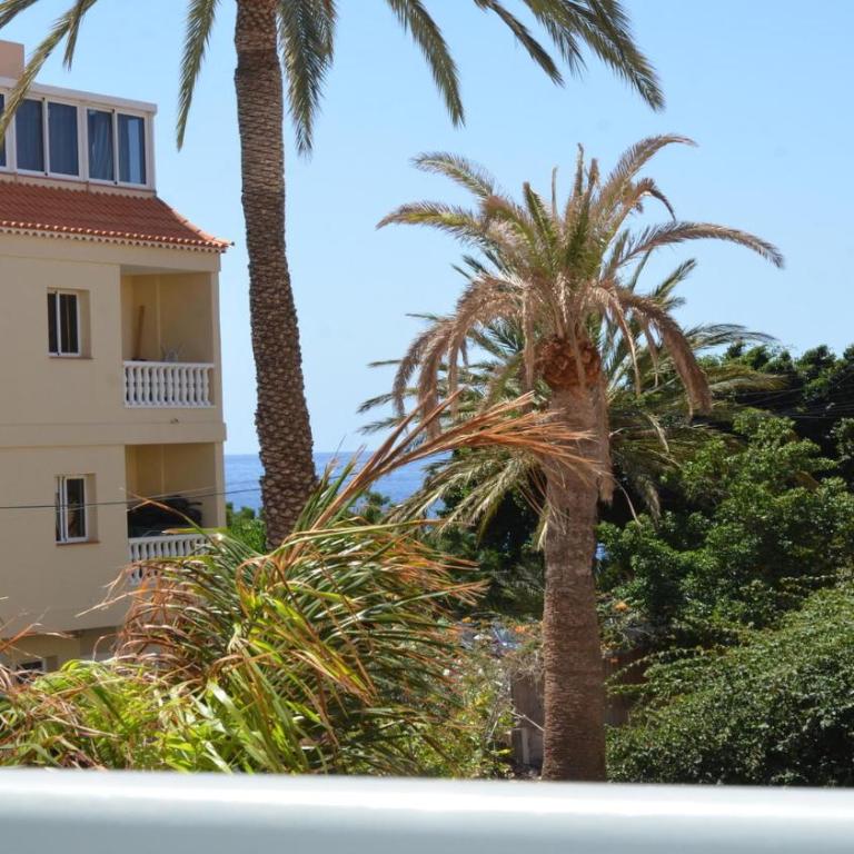 Apt. ManRey 1C - Jade - Apartamento de 1 dormitorio - 17
