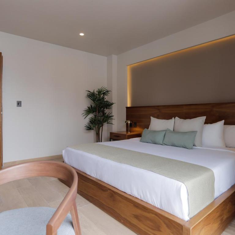 Punta Alameda - Habitación Deluxe - 3