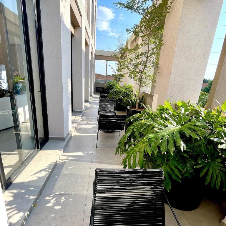 Nuevo, Zona chapultepec, preciosa vista, piso 19 - Apartamento de 2 dormitorios - 24