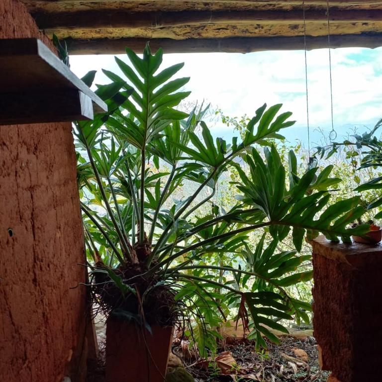 REFUGIO LA ROCA - Habitación Doble con vistas a la montaña - 7