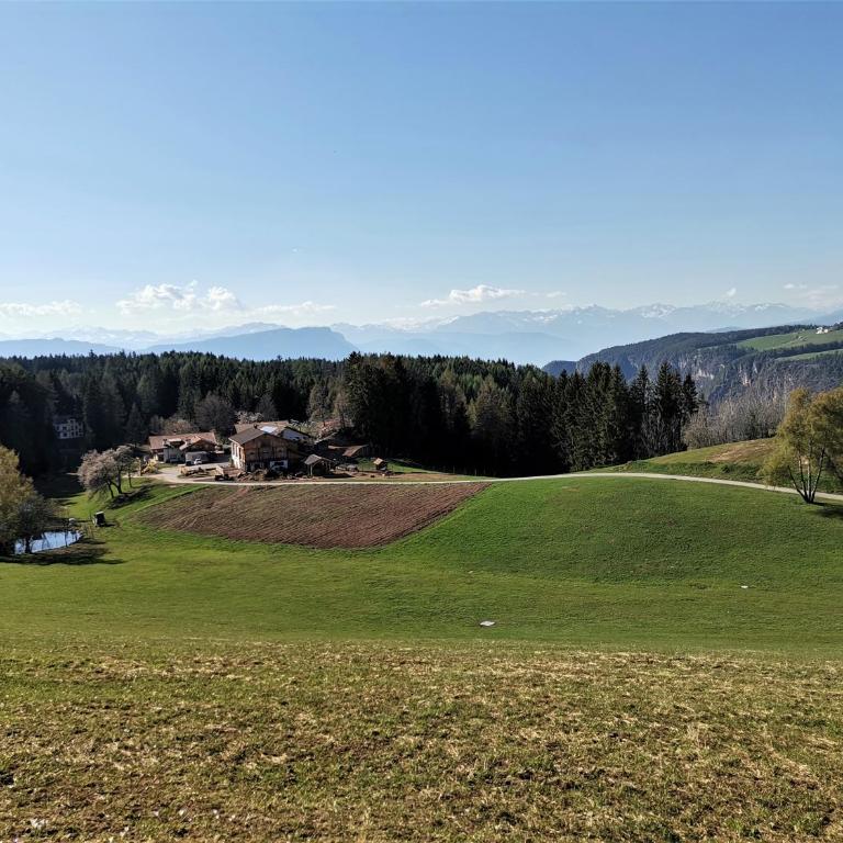 Schupferhof - Two-Bedroom Apartment - 36