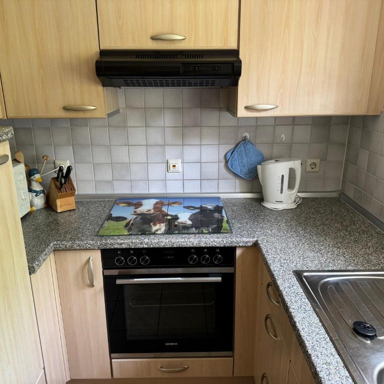 Ferienwohnung Wiesenleiten inkl. Chiemgaukarte - Apartment mit 3 Schlafzimmern - 11