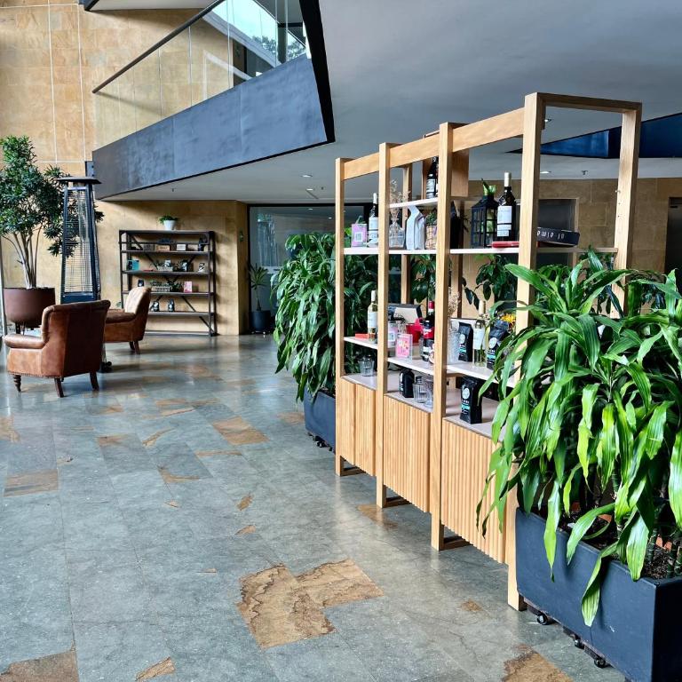 Room in BB - Suite Presidencial en hotel proximo al aeropuerto - Habitación Familiar - 10