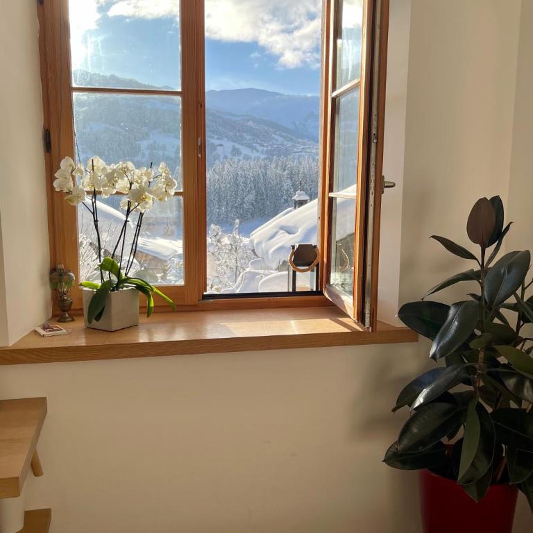Chalet à Megève-Vauvray - Grands Appartements , vue Mont Blanc - Appartement - 7