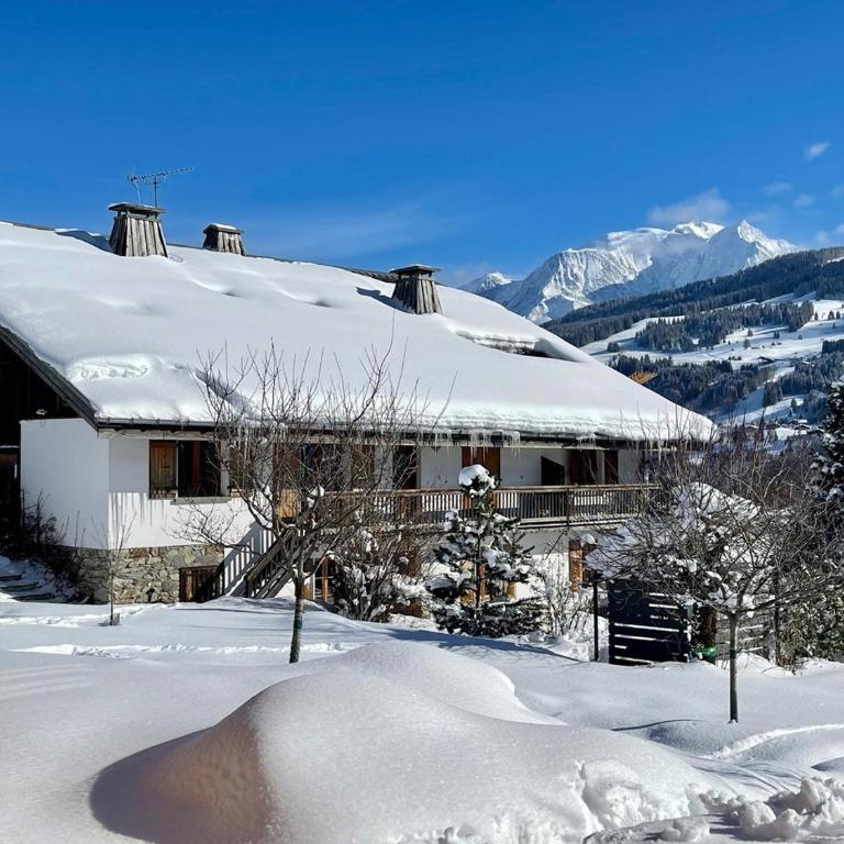 Chalet à Megève-Vauvray - Grands Appartements , vue Mont Blanc - Appartement - 10