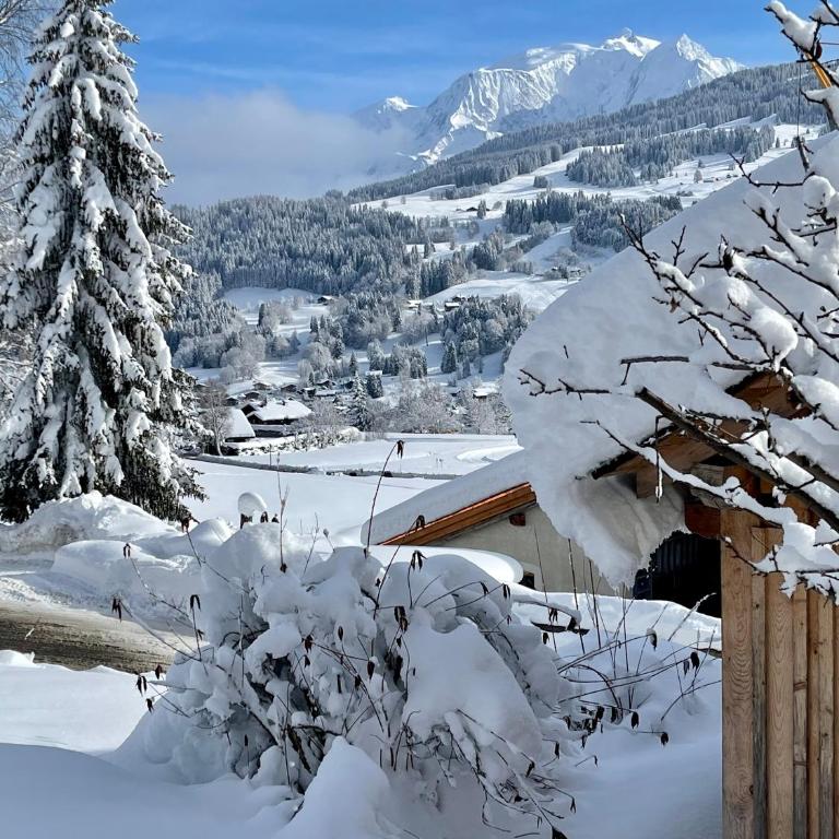 Chalet à Megève-Vauvray - Grands Appartements , vue Mont Blanc - Appartement - 12