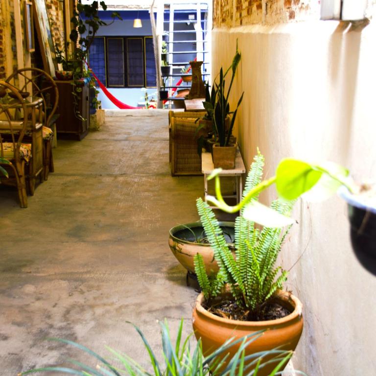 The Roots Flat Oaxaca Centro - One-Bedroom Apartment - 36