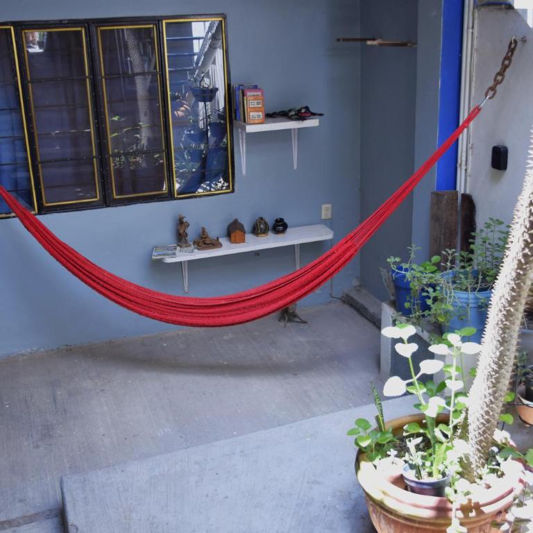 The Roots Flat Oaxaca Centro - One-Bedroom Apartment - 31