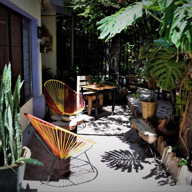 The Roots Flat Oaxaca Centro - One-Bedroom Apartment - 14
