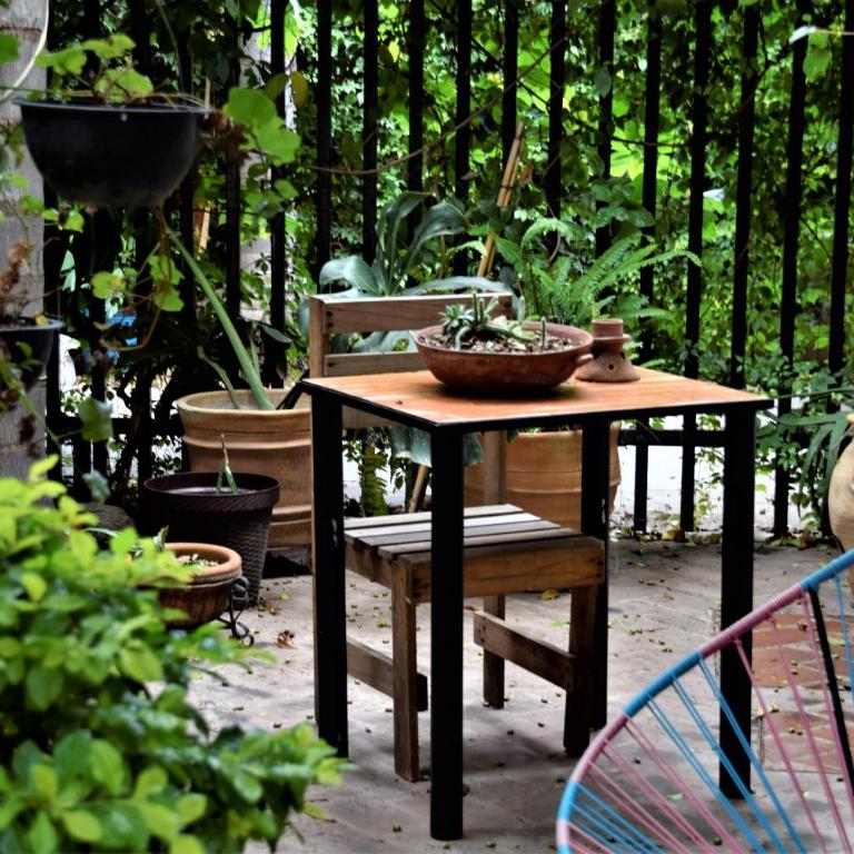 The Roots Flat Oaxaca Centro - One-Bedroom Apartment - 37