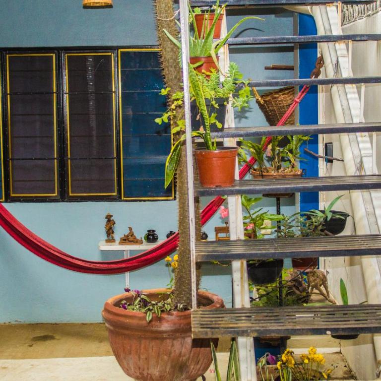 The Roots Flat Oaxaca Centro - One-Bedroom Apartment - 11