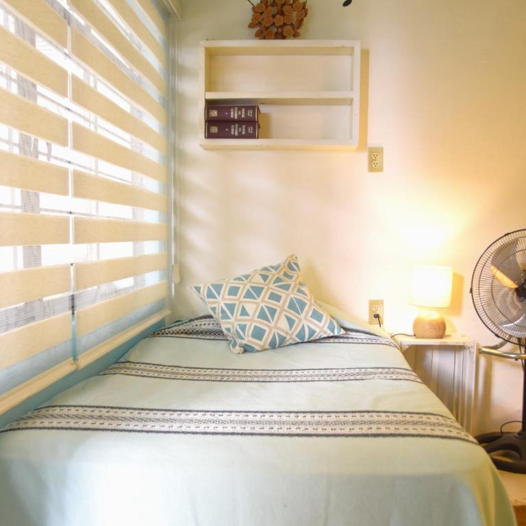 The Roots Flat Oaxaca Centro - One-Bedroom Apartment - 4