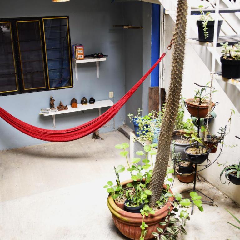 The Roots Flat Oaxaca Centro - One-Bedroom Apartment - 45