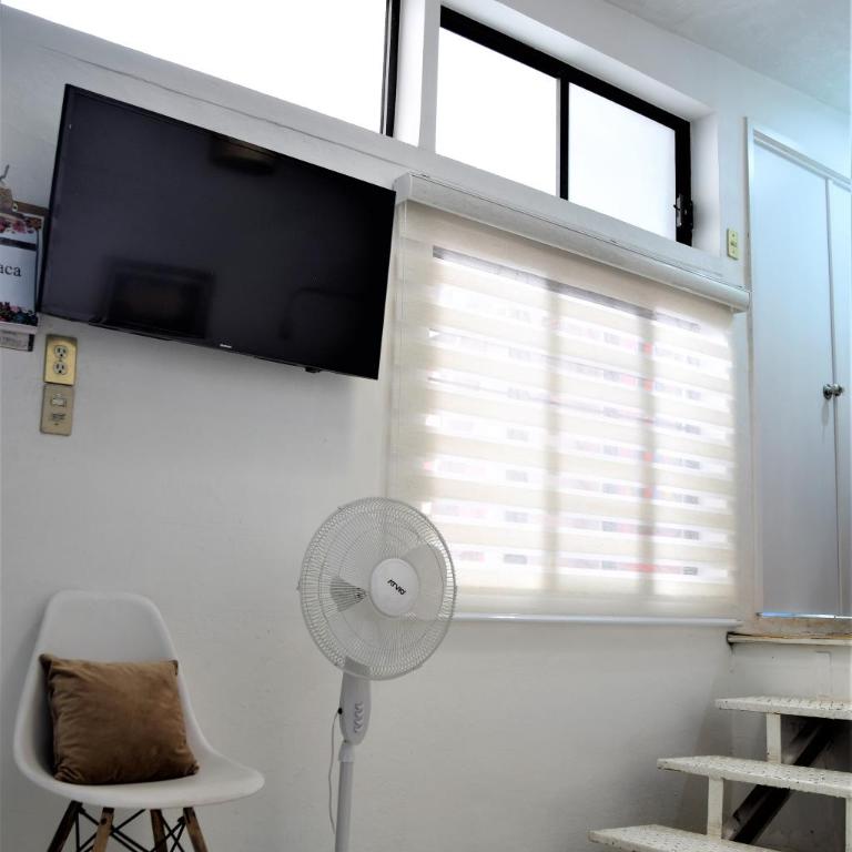 The Roots Flat Oaxaca Centro - One-Bedroom Apartment - 22