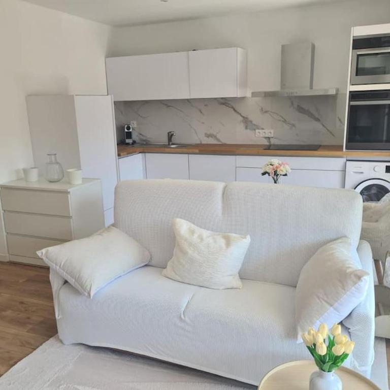 Superbe Appartement Luxueux Spacieux 50 m2 Port Nice - Appartamento con 1 Camera da Letto - 33