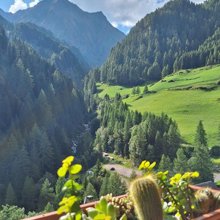 Duner Heuschupfe - Appartamento con Terrazza - 8