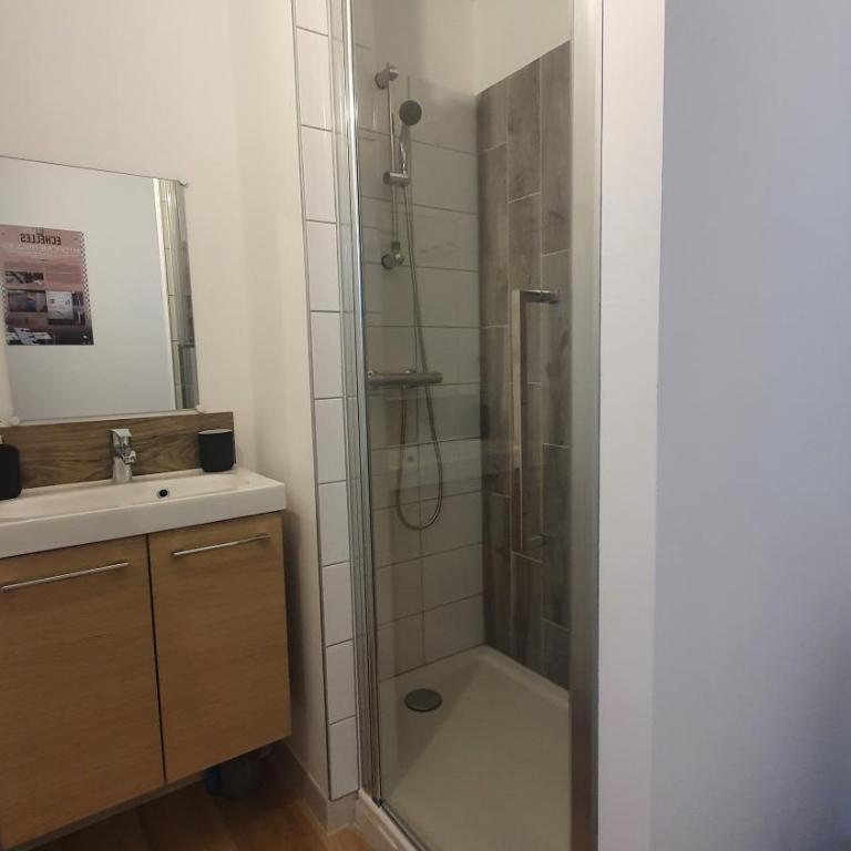 Gîtes des Cygnes vue sur Loire et linge inclus - Apartment - 12