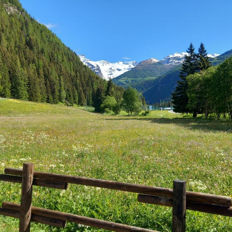 Chez Umbus, centrale e immerso nel verde, grande terrazzo - Two-Bedroom Apartment - 61