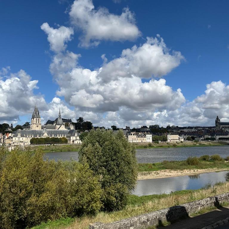 Gîtes des Cygnes vue sur Loire et linge inclus - Apartment - 5