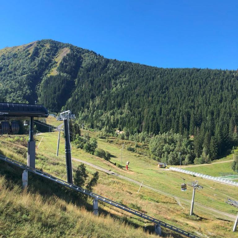 Superbe appartement 8 personnes au pied des pistes - Appartement - 17