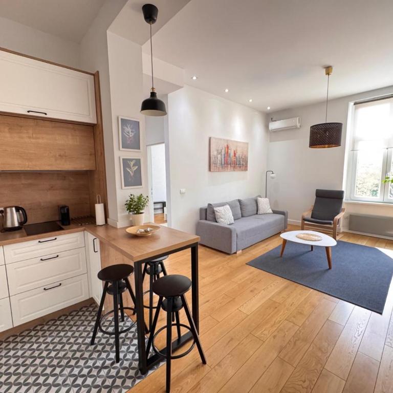 Downtown Apartment - Two-Bedroom Apartment - 1