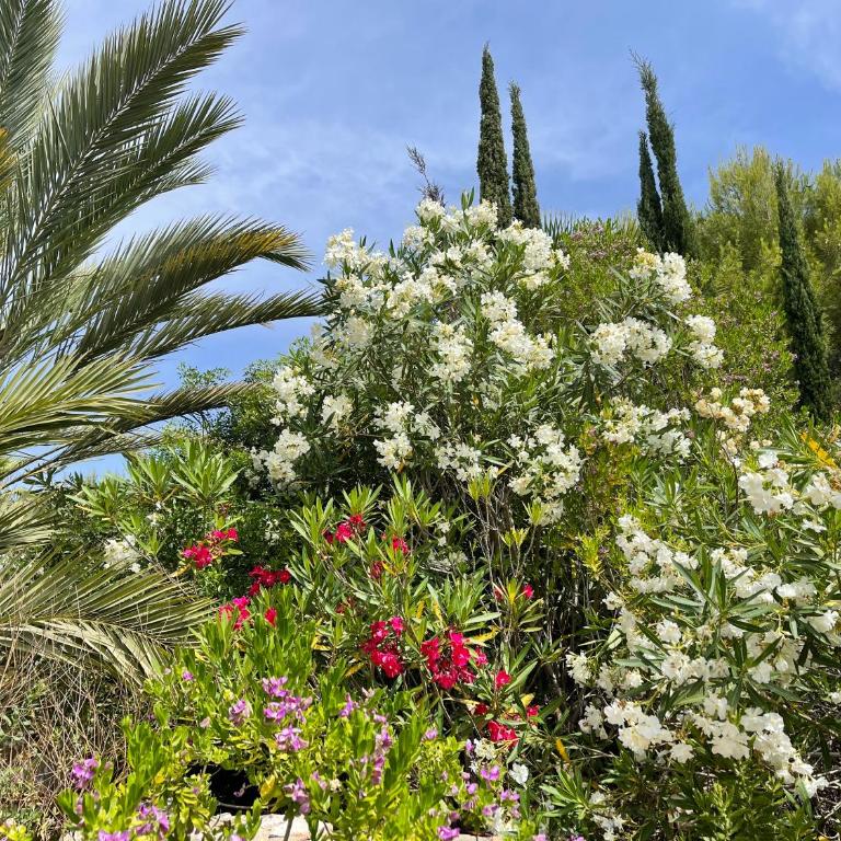 Villa in Spain at Las Colinas Golf & Country Club - Villa de 3 dormitorios - 12