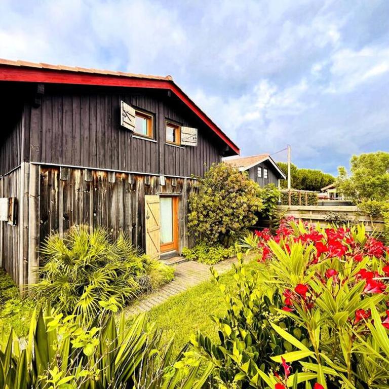 Maison en bois en 2ème ligne - Maison 3 Chambres - 6