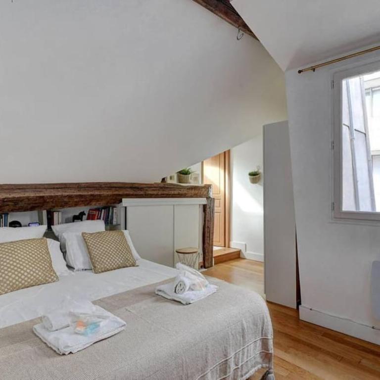 Loft place des Vosges - Appartement 1 Chambre - 3