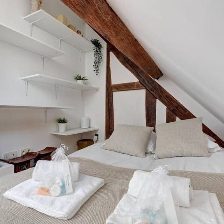 Loft place des Vosges - Appartement 1 Chambre - 9