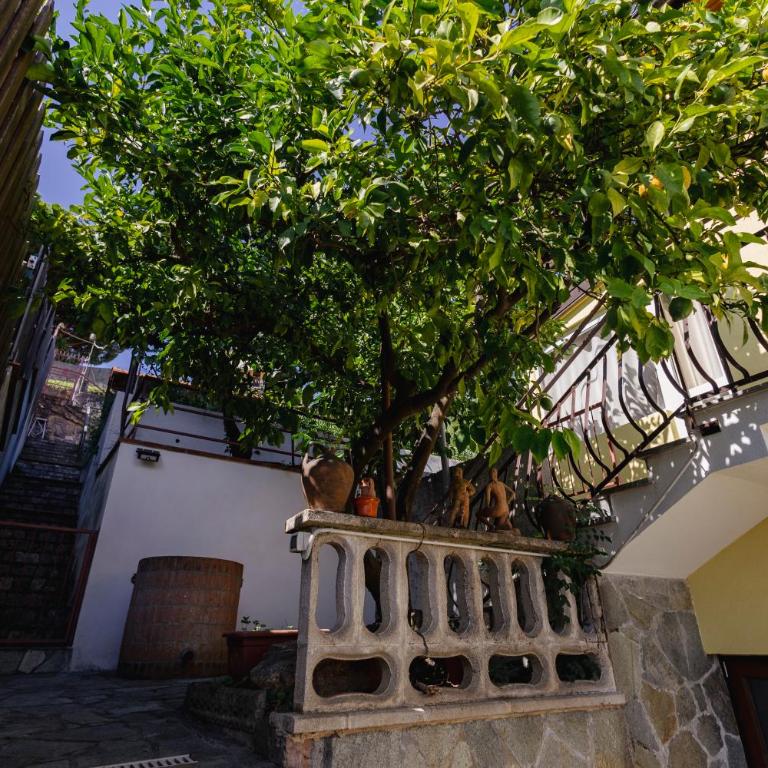 "Lomellina Bay" 10 minuti a piedi dal mare - Two-Bedroom Apartment with Garden View - 55