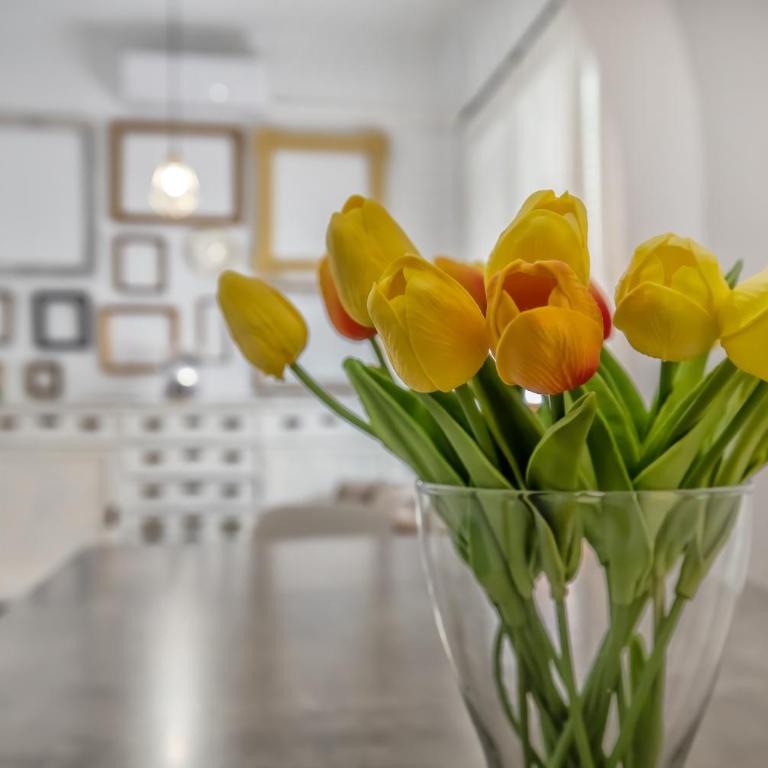 Apartamento Homies Córdoba - Parking incluido - Apartamento de 3 dormitorios - 13