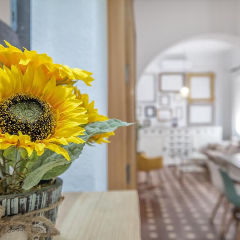 Apartamento Homies Córdoba - Parking incluido - Apartamento de 3 dormitorios - 14