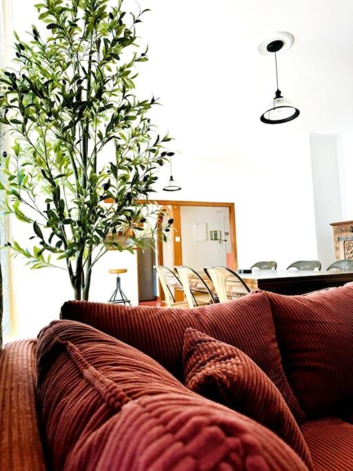 Casa Luciano - Appartement 3 Chambres - 20