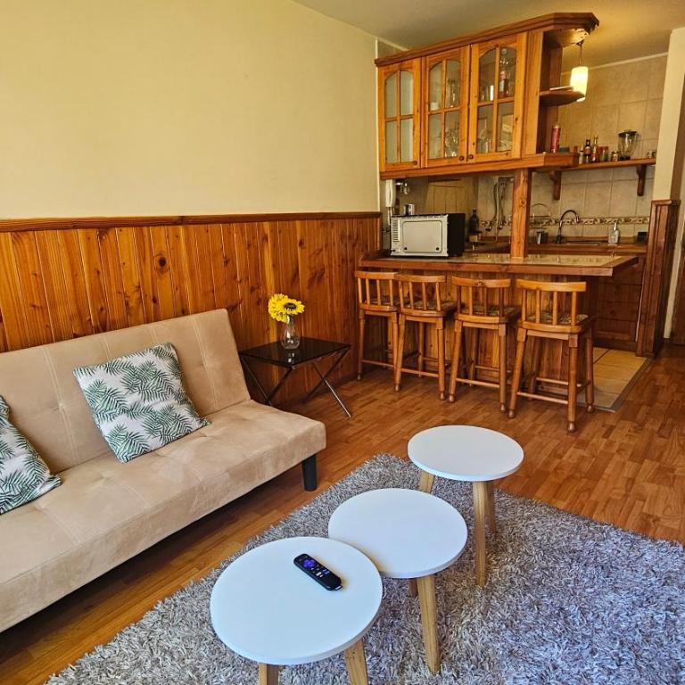 Oceana Suites Parque Pucón - Apartamento de 1 dormitorio - 4