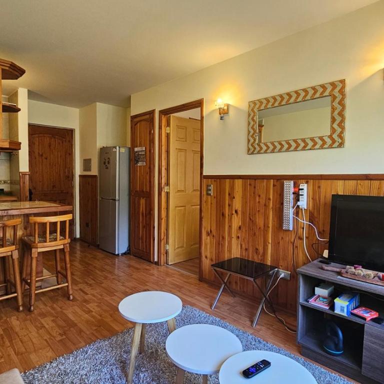 Oceana Suites Parque Pucón - Apartamento de 1 dormitorio - 3