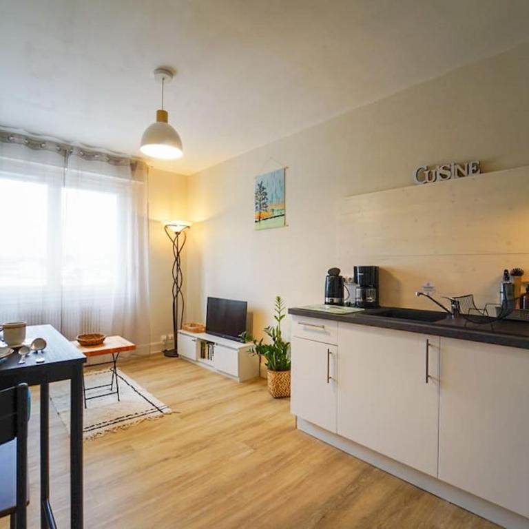 Plaine - vue montagne et garage à 700m du lac - Apartment mit 1 Schlafzimmer - 9
