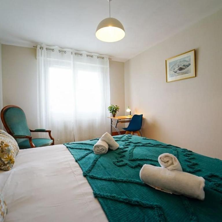Plaine - vue montagne et garage à 700m du lac - Apartment mit 1 Schlafzimmer - 17