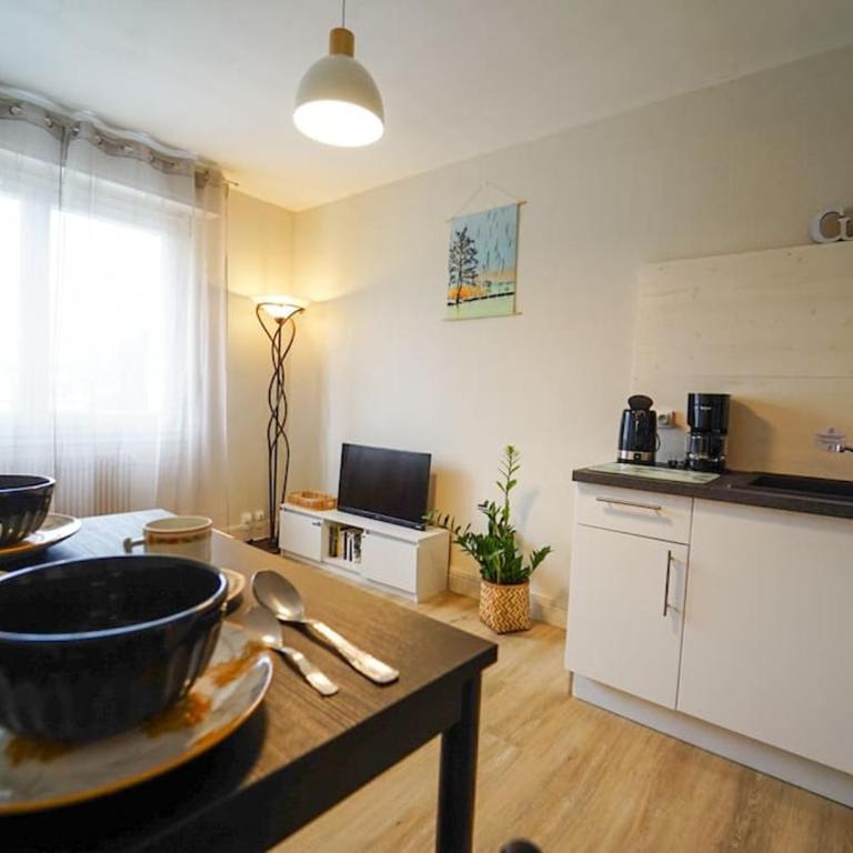 Plaine - vue montagne et garage à 700m du lac - Apartment mit 1 Schlafzimmer - 20