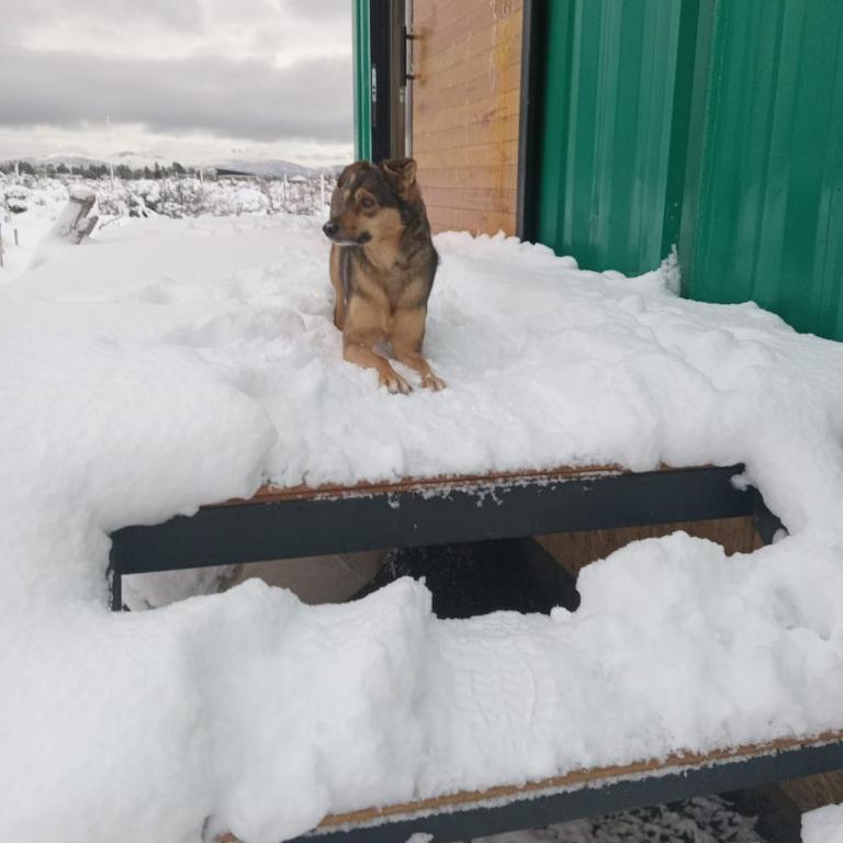 EstepaHaus - Apartamento de 1 dormitorio - 5