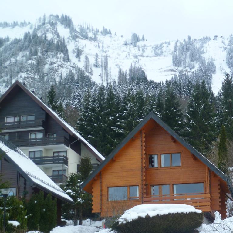 Chalet les Alpages vue panoramique sur le lac Léman - Chalet - 5