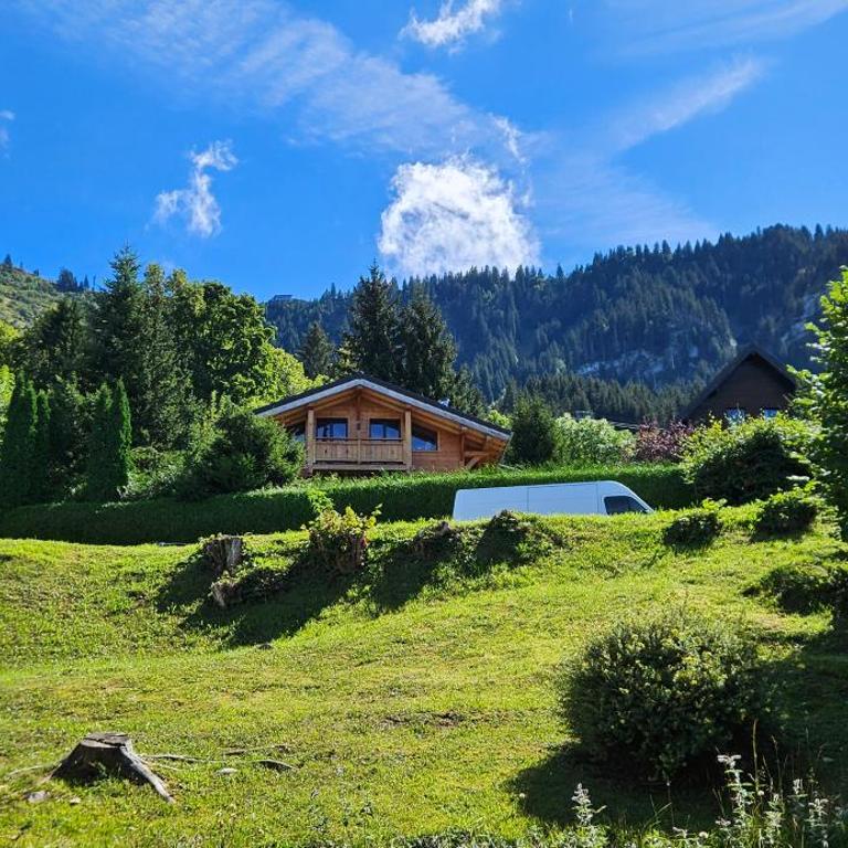 Chalet les Alpages vue panoramique sur le lac Léman - Chalet - 31