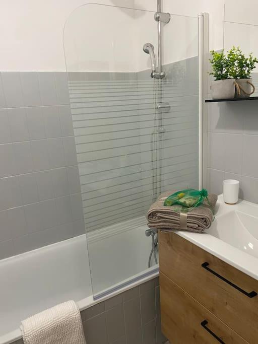 Studio golf Juan - Appartement 1 Chambre - 31