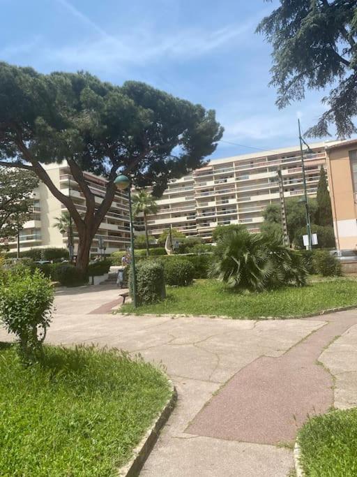 Studio golf Juan - Appartement 1 Chambre - 40