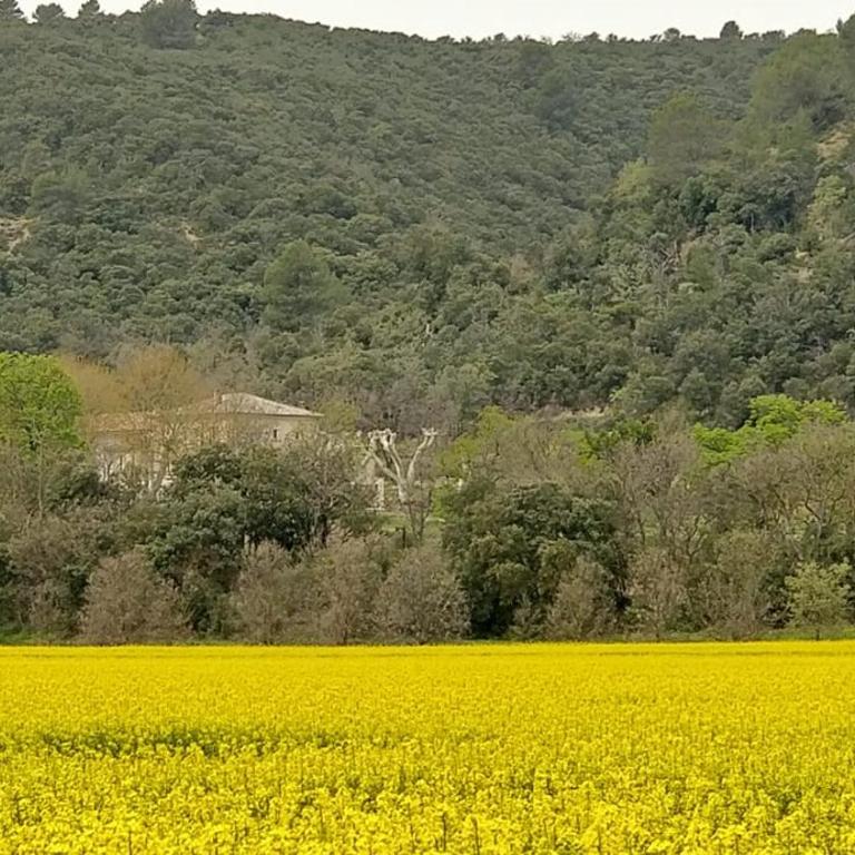 Domaine Bastide Blanche - Apartamento de 3 dormitorios - 17